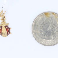 Charm Lady Bug