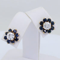 Marena Earrings