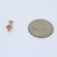 Aretes Estrellita Rose Gold 14kt